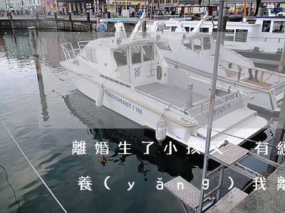 離婚生了小孩又沒有經(jīng)濟能撫養(yǎng)(我離婚時沒要孩子撫養(yǎng)權(quán)現(xiàn)在要可以嗎?)