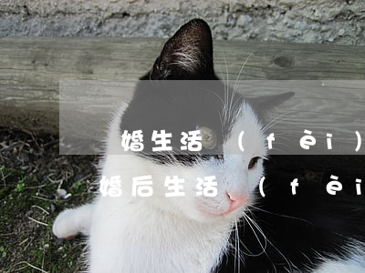 離婚生活費(fèi)如何計(jì)算(離婚后生活費(fèi)怎么算)