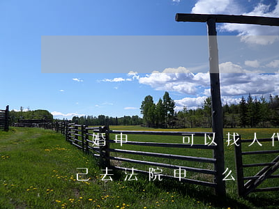 離婚申請書可以找人代繳法院嗎(訴訟離婚自己去法院申請么)
