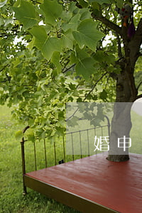離婚申請書(離婚申請書過期了怎么辦)