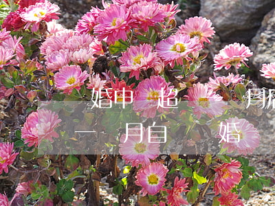 離婚申請超過一個月后不去可以嗎(離婚申請一個月自動離婚)