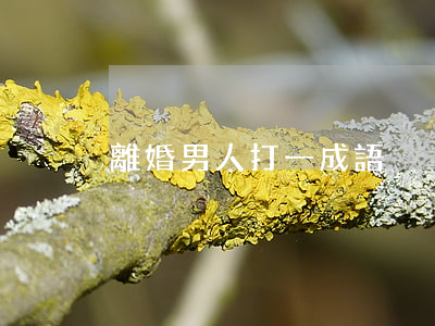 離婚男人打一成語