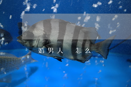 離婚男人該怎么辦