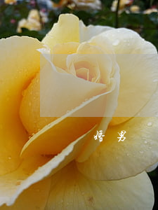 離婚男帶孩子的能嫁嗎