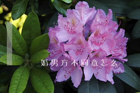 離婚男方不同意怎么辦(離婚男方不同意怎么辦)