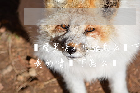 離婚男方不同意怎么離下來(離婚在男方不同意的情況下怎么辦)