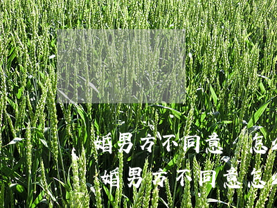離婚男方不同意離怎么辦(現(xiàn)在離婚男方不同意怎么辦)