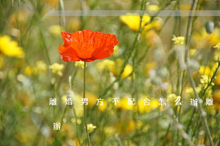 離婚男方不配合怎么辦(離婚男方不離婚怎么辦)