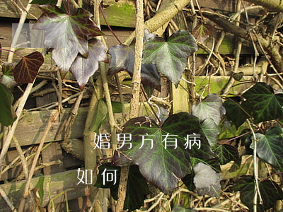 離婚男方有病補償問題(離婚一方有重大疾病如何補償)