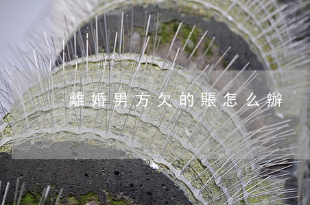 離婚男方欠的賬怎么辦