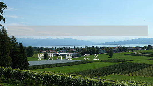 離婚男方要錢怎么辦