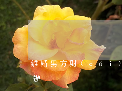 離婚男方財(cái)產(chǎn)怎么辦