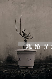 離婚異地能辦理手續(xù)嗎