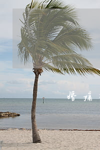離婚痛苦嗎