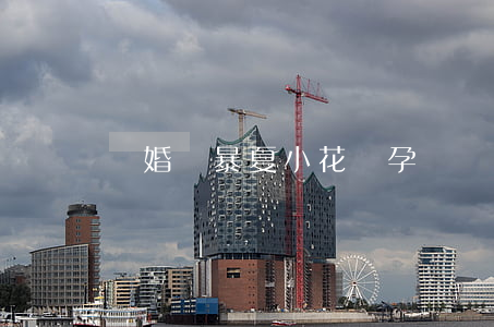 離婚瘋暴夏小花懷孕