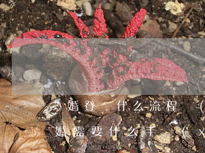 離婚登記什么流程(現(xiàn)在登記離婚需要什么手續(xù))