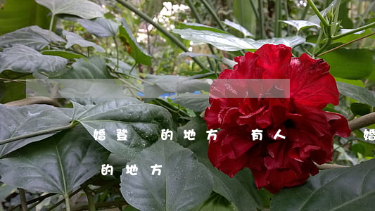 離婚登記的地方會有人勸嗎(離婚一定要去登記的地方離嗎)