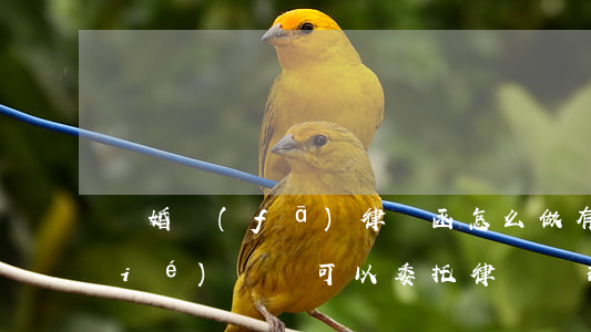 離婚發(fā)律師函怎么做(有離婚協(xié)議書可以委托律師辦理離婚嗎)