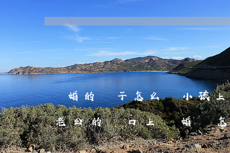 離婚的兒子怎么給小孩上戶口(孩子戶口上到老公的戶口上,離婚時怎么辦)