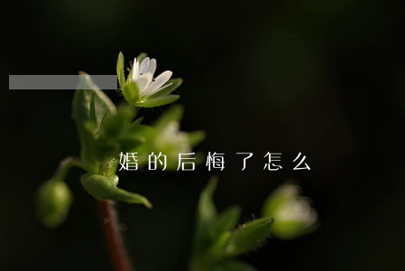 離婚的后悔了怎么辦