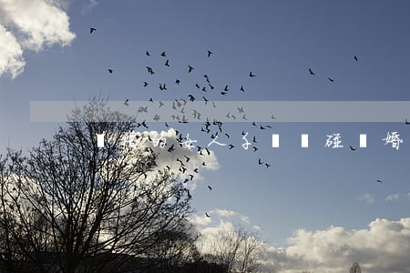 離婚的女人千萬別碰(離婚的女人不能碰)