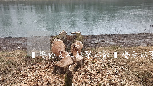 離婚的女人好聚好散(離婚后好聚好散的話)