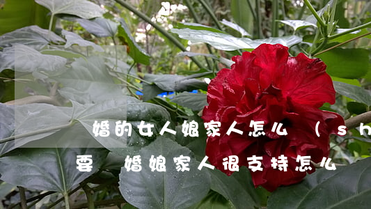 離婚的女人娘家人怎么說(shuō)(老婆要離婚娘家人很支持怎么辦)