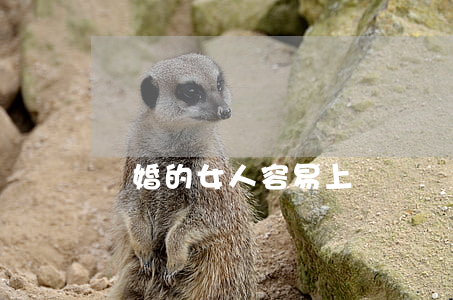離婚的女人容易上