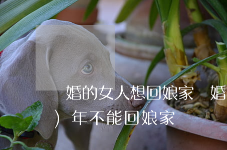 離婚的女人想回娘家(離婚的女人過(guò)年不能回娘家嗎)