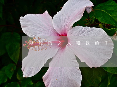 離婚的女人碰我的手