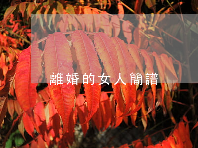 離婚的女人簡譜