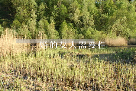 離婚的女人需要性嗎