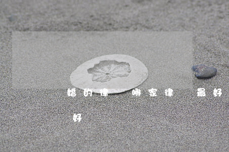 離婚的律師哪家律師最好(離婚律師哪里找比較好)