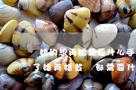 離婚的想再婚需要什么手續(xù)辦理(離了婚再婚登記都需要什么)