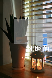 離婚的成語(yǔ)