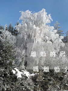 離婚的房產(chǎn)可以通過法院拍賣嗎(離婚分割房產(chǎn)法院會強制拍賣嗎)