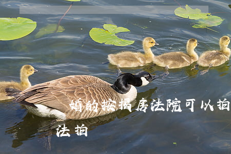 離婚的按揭房法院可以拍賣嗎(按揭房可以司法拍賣嗎)