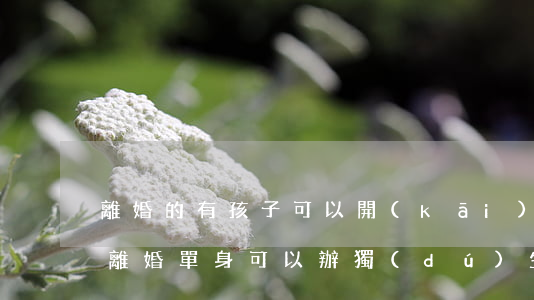 離婚的有孩子可以開(kāi)單身證明嗎(離婚單身可以辦獨(dú)生子女證嗎)