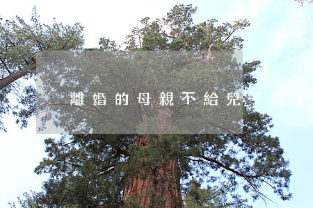 離婚的母親不給兒子買手機犯法嗎