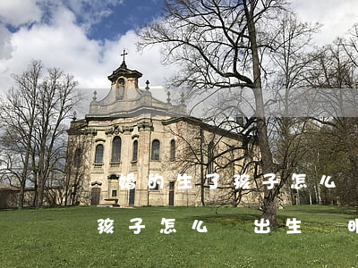 離婚的生了孩子怎么辦出生證明(離婚的生了孩子怎么辦出生證明)