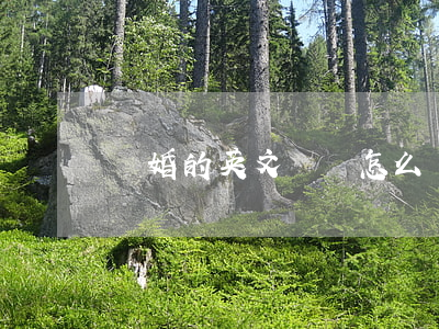 離婚的英文單詞怎么寫