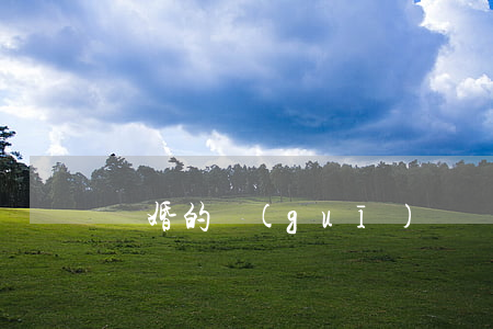 離婚的規(guī)則(離婚的法律條文)