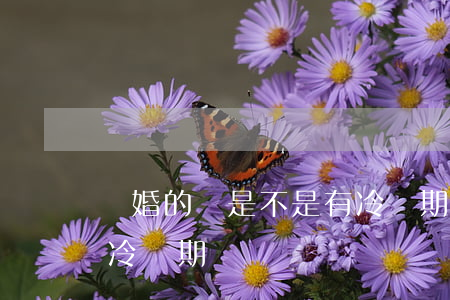 離婚的話是不是有冷靜期(離婚有個(gè)冷靜期)