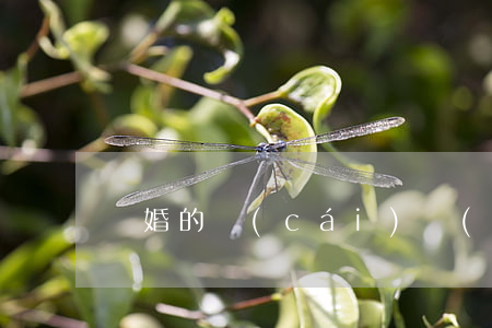 離婚的財(cái)產(chǎn)分配