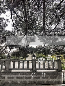 離婚的財產(chǎn)分割(離婚的財產(chǎn)分割,孩子可以參加一起分嗎)