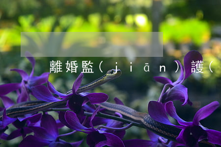 離婚 監(jiān)護(hù)人