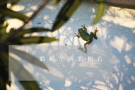 離婚相左再婚相右