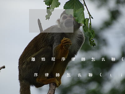 離婚程序律師怎么聯(lián)系(離婚程序律師怎么聯(lián)系)