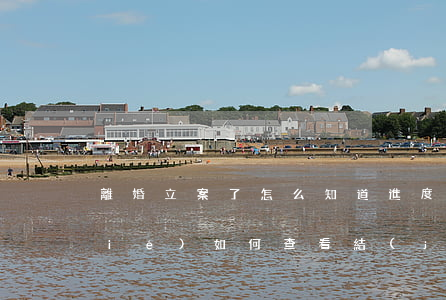 離婚立案了怎么知道進度呢(離婚案審結(jié)如何查看結(jié)果)