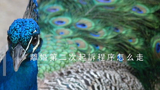 離婚第二次起訴程序怎么走
